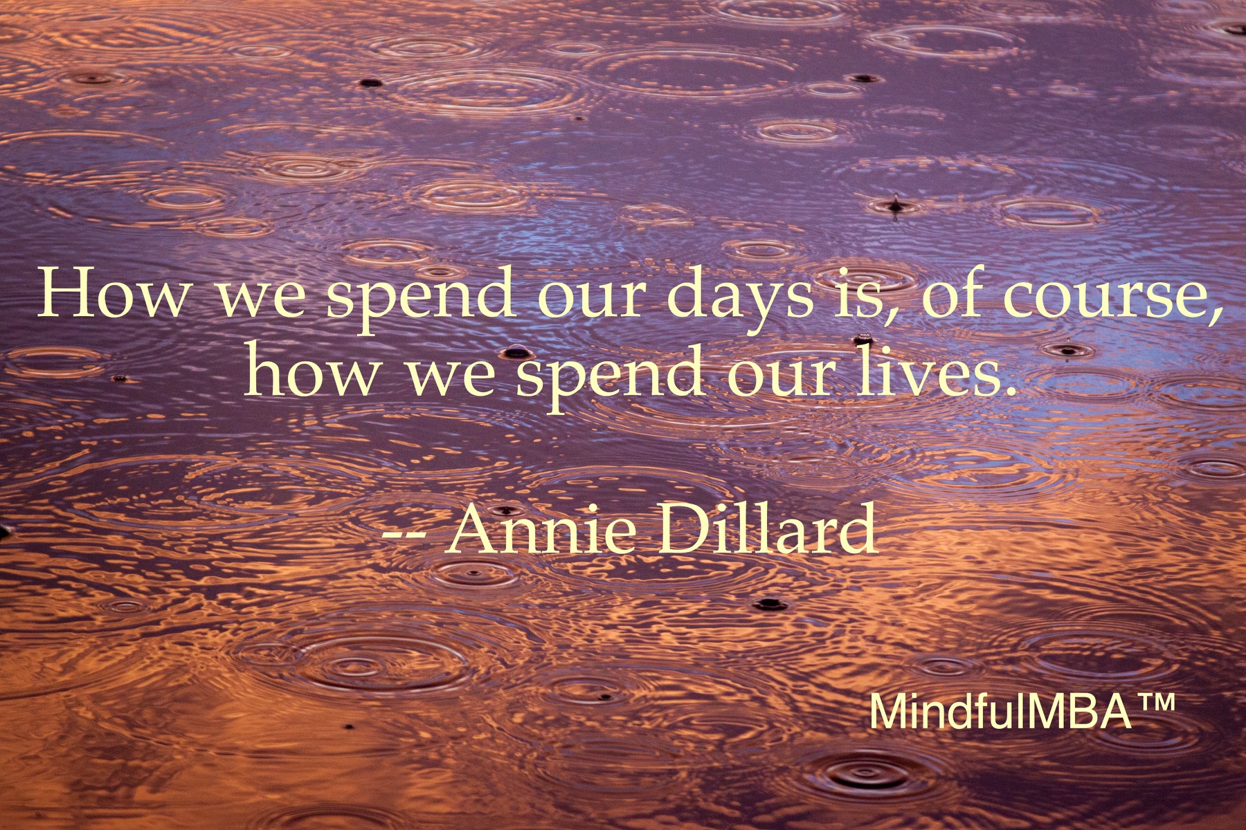 Annie Dillard_Spend Days quote w tag