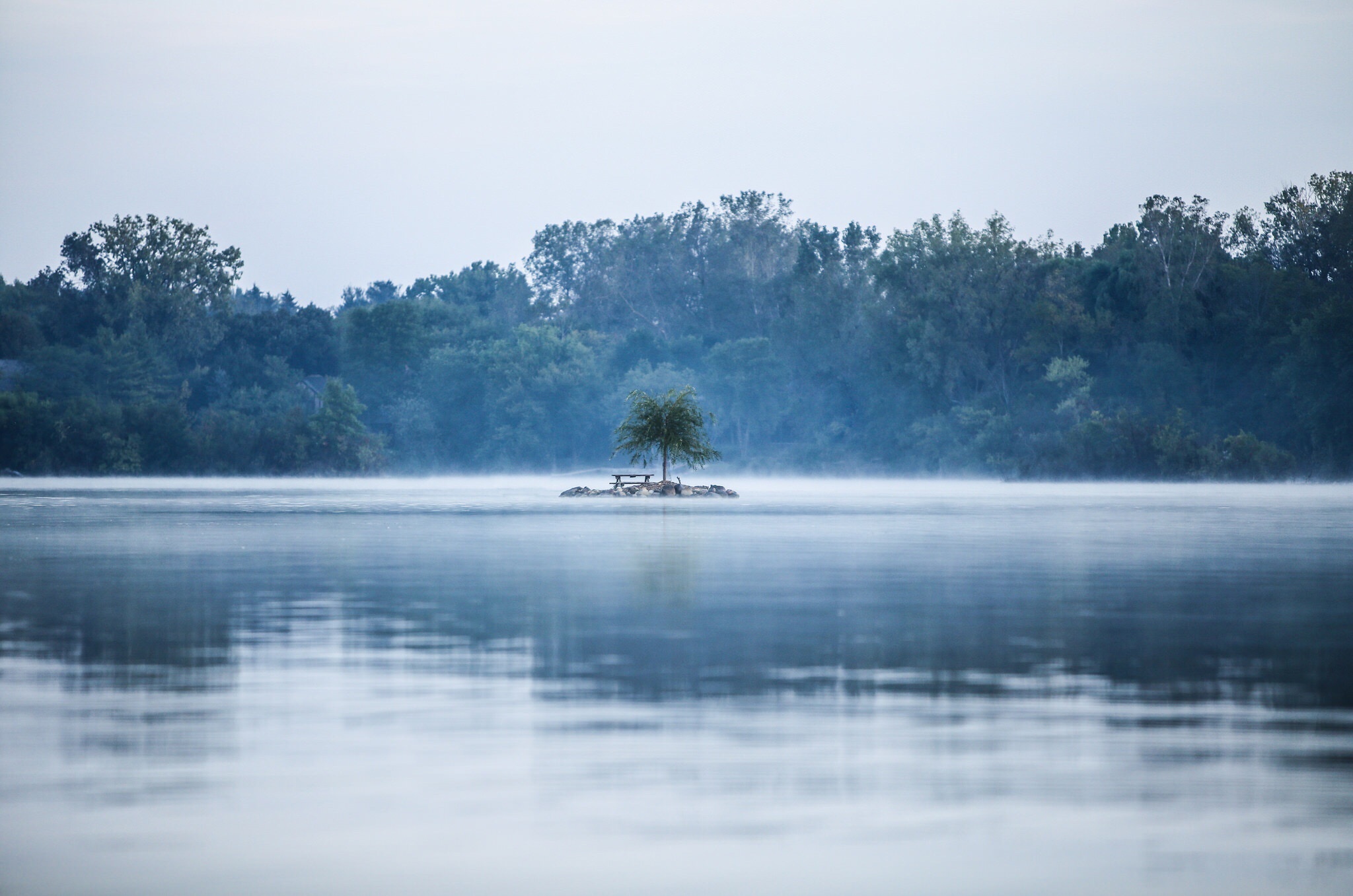 Isolated tree &amp; lake_Teddy Kelley_Stocksnap