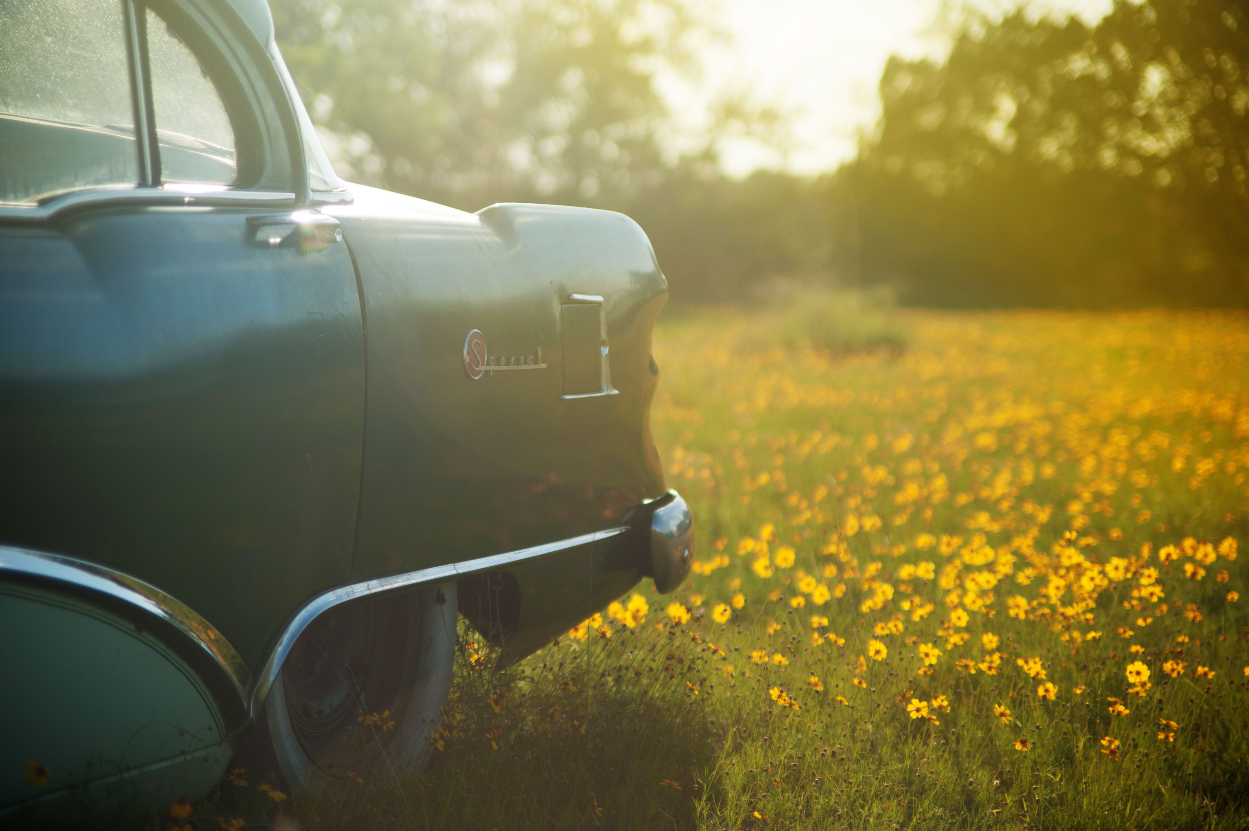 Car in Field_Alan Cruk_Stocksnap