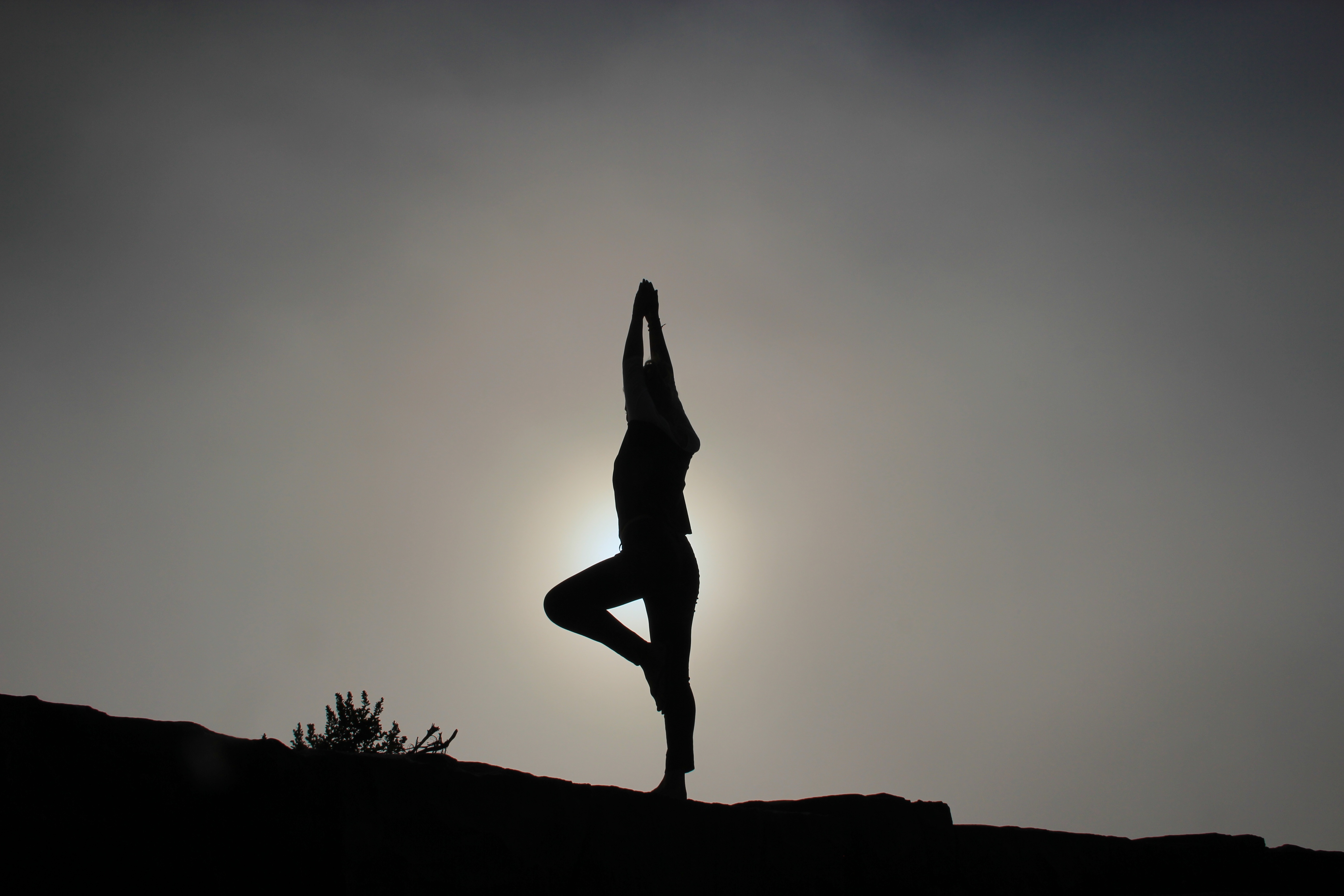 Yoga tree pose_Patrick Hendry_Stocksnap