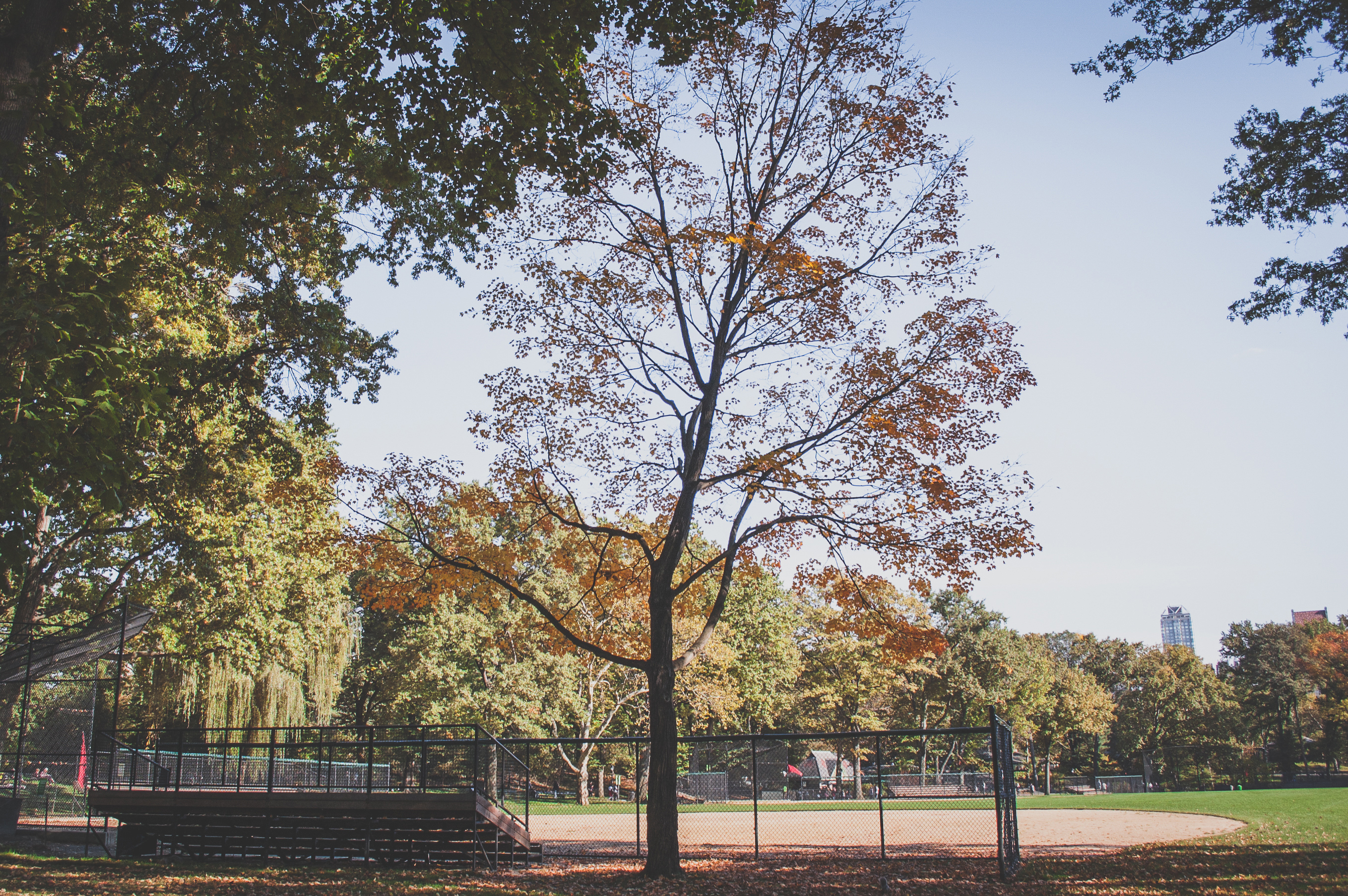 Baseball field in park_WIll Langenberg_Stocksnap