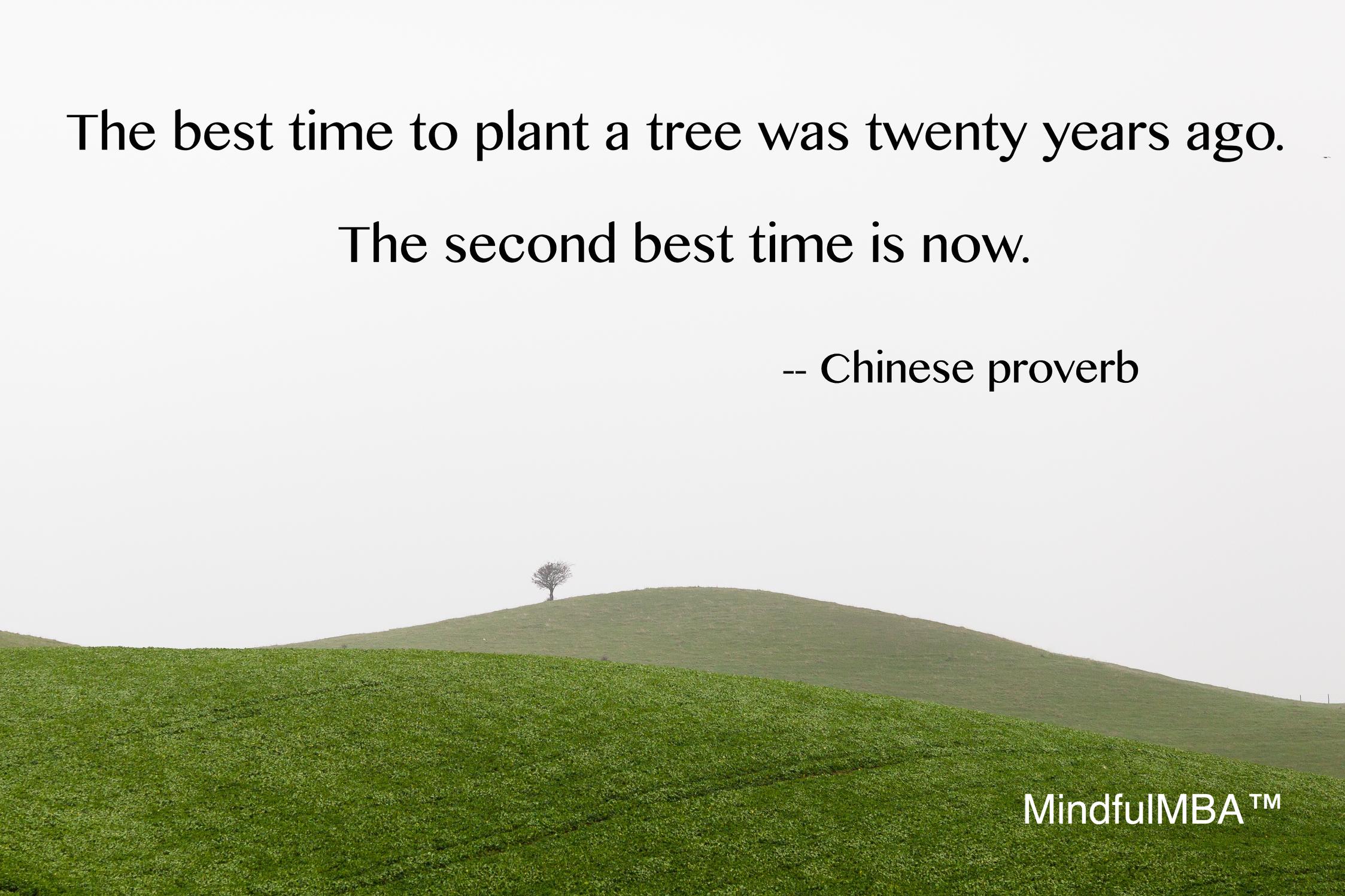 Chinese tree proverb w tag