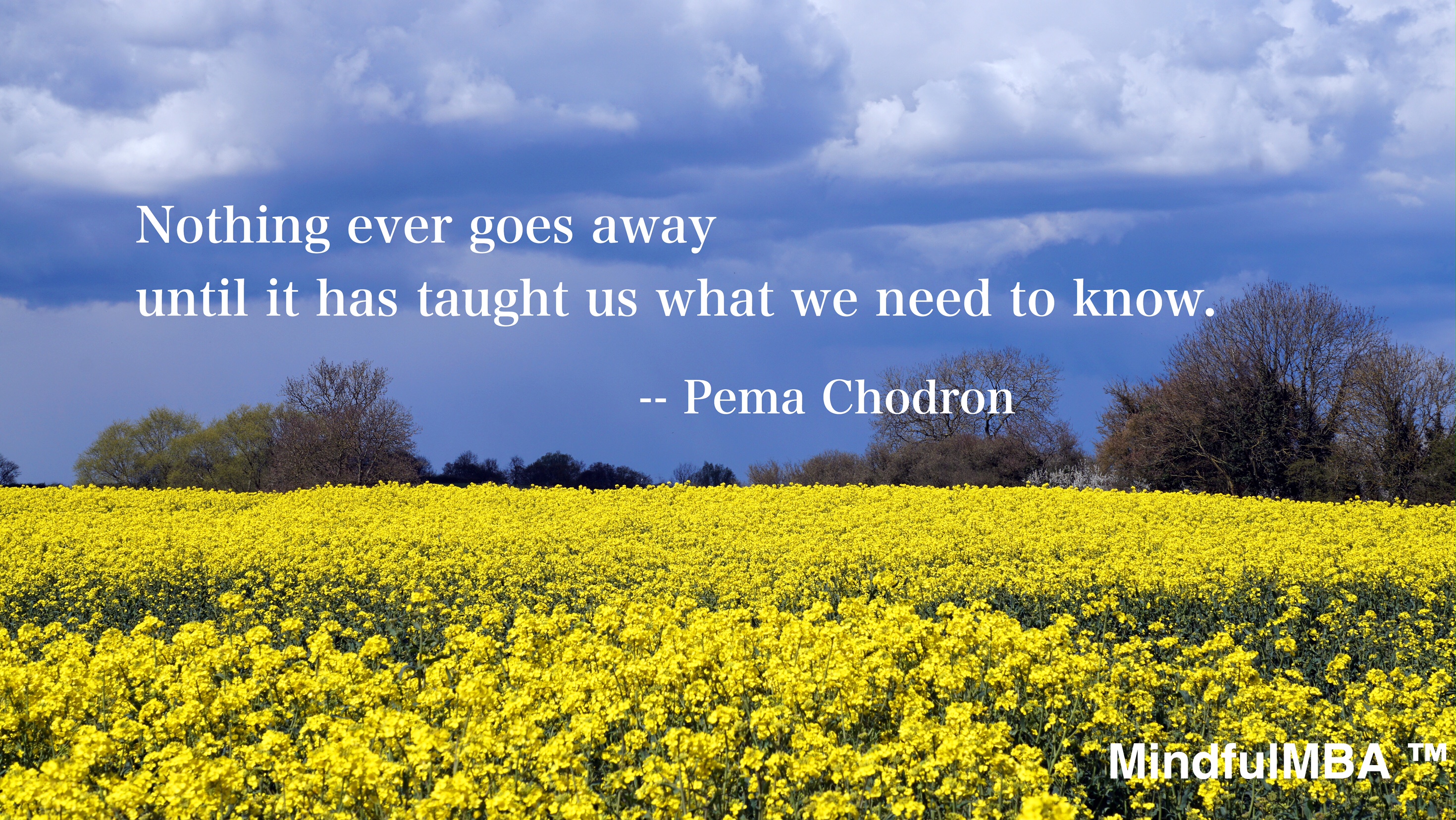 Pema Chodron_Nothing Ever Goes Away quote w tag