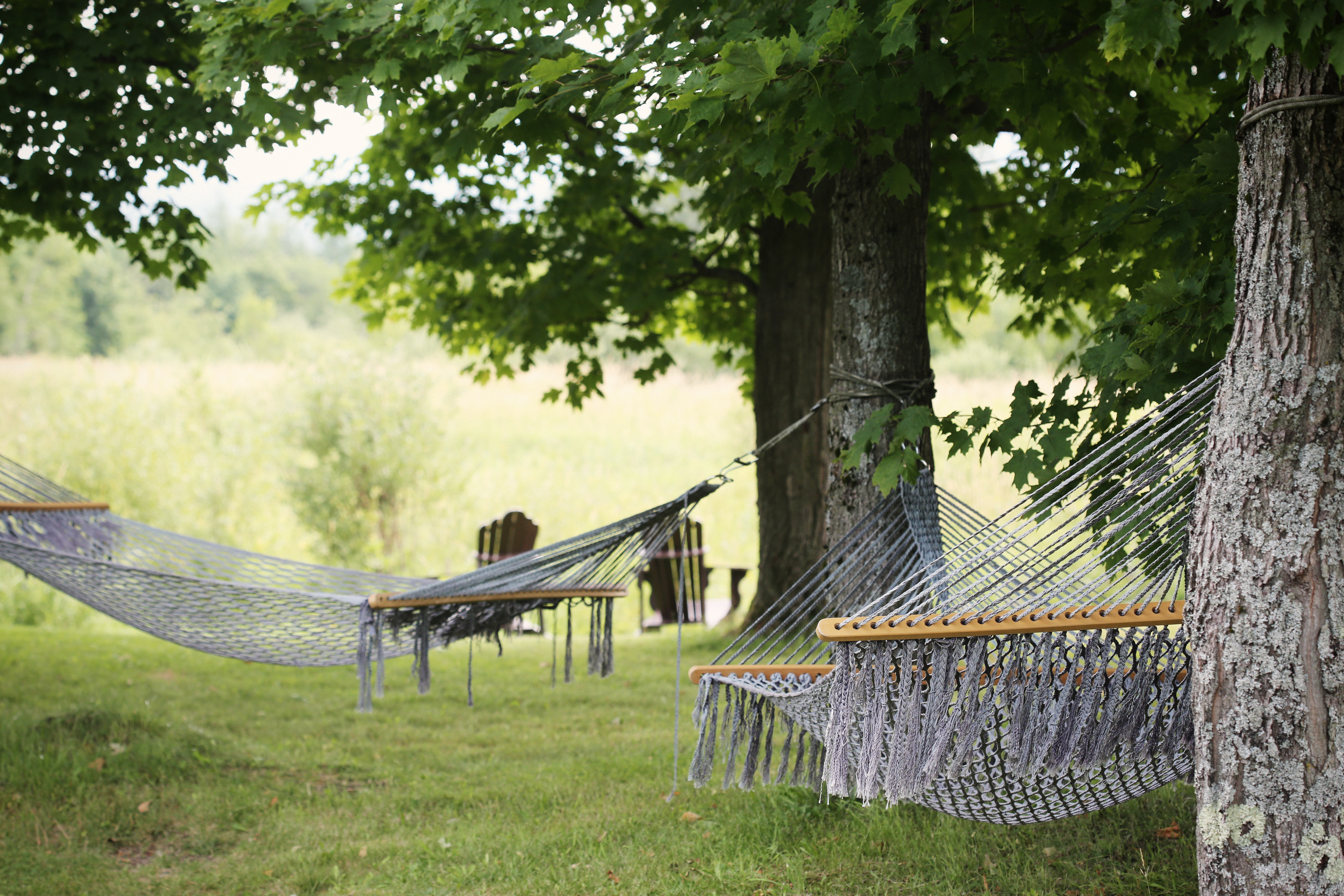 Two Hammocks_Leeroy_Stocksnap