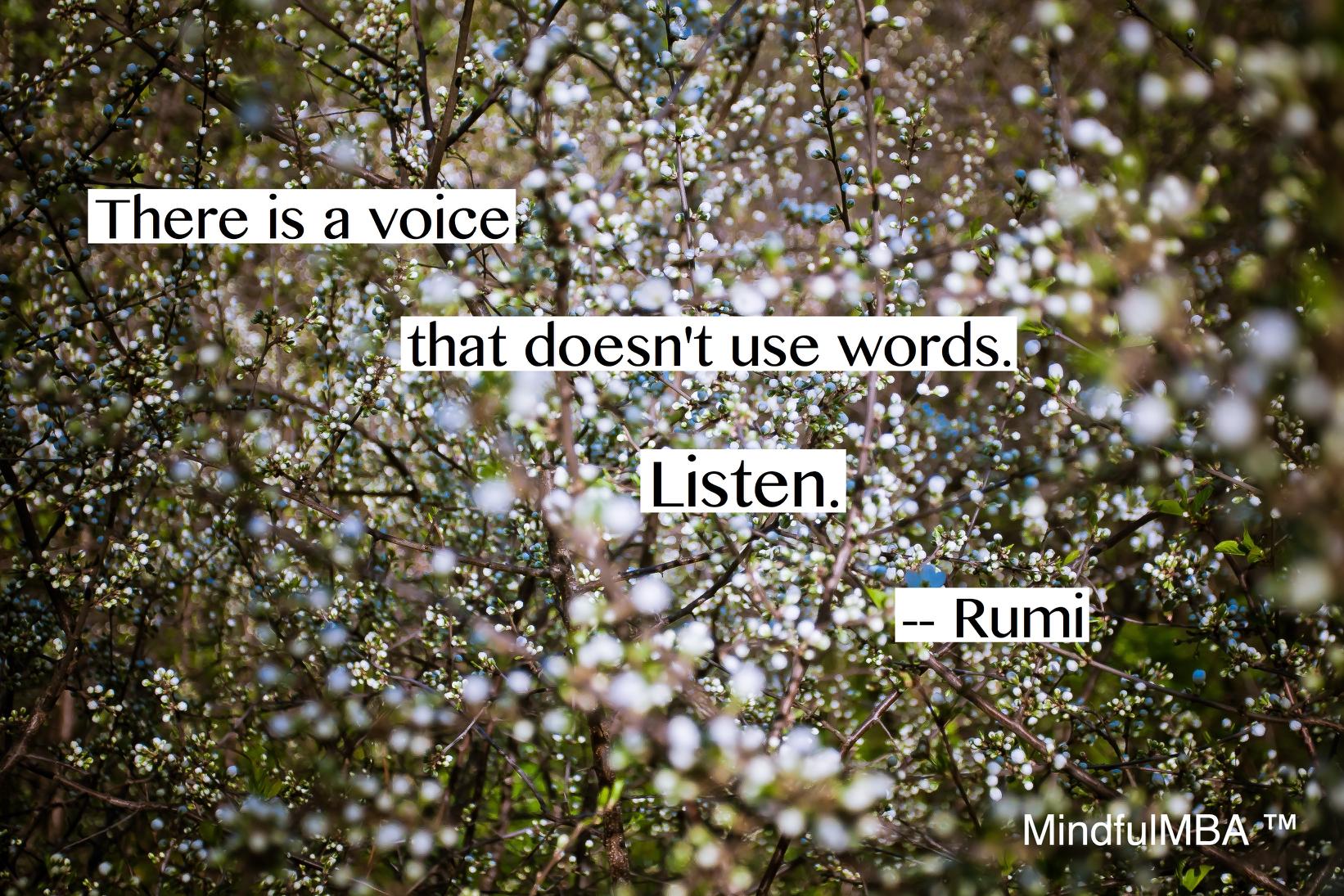 Rumi voice w:out words quote w tag