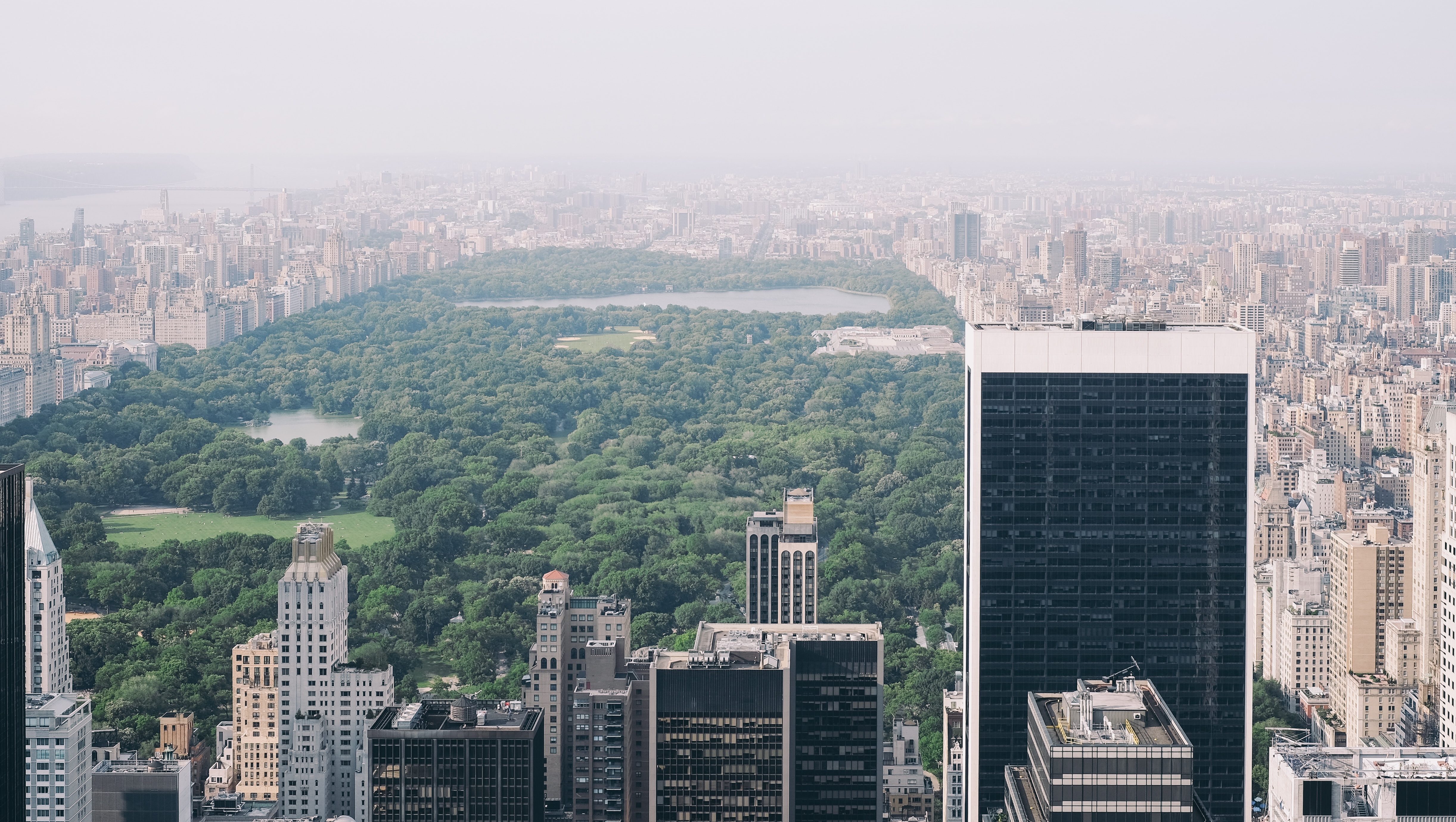 central-park-skyline_freddie-marriage