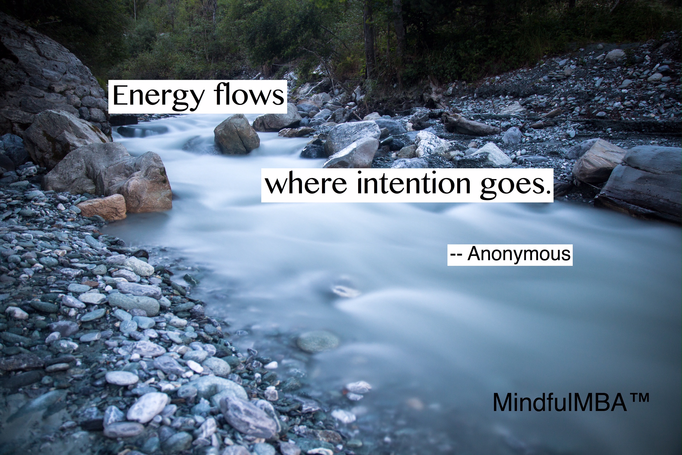 energy-flows-quote-w-tag