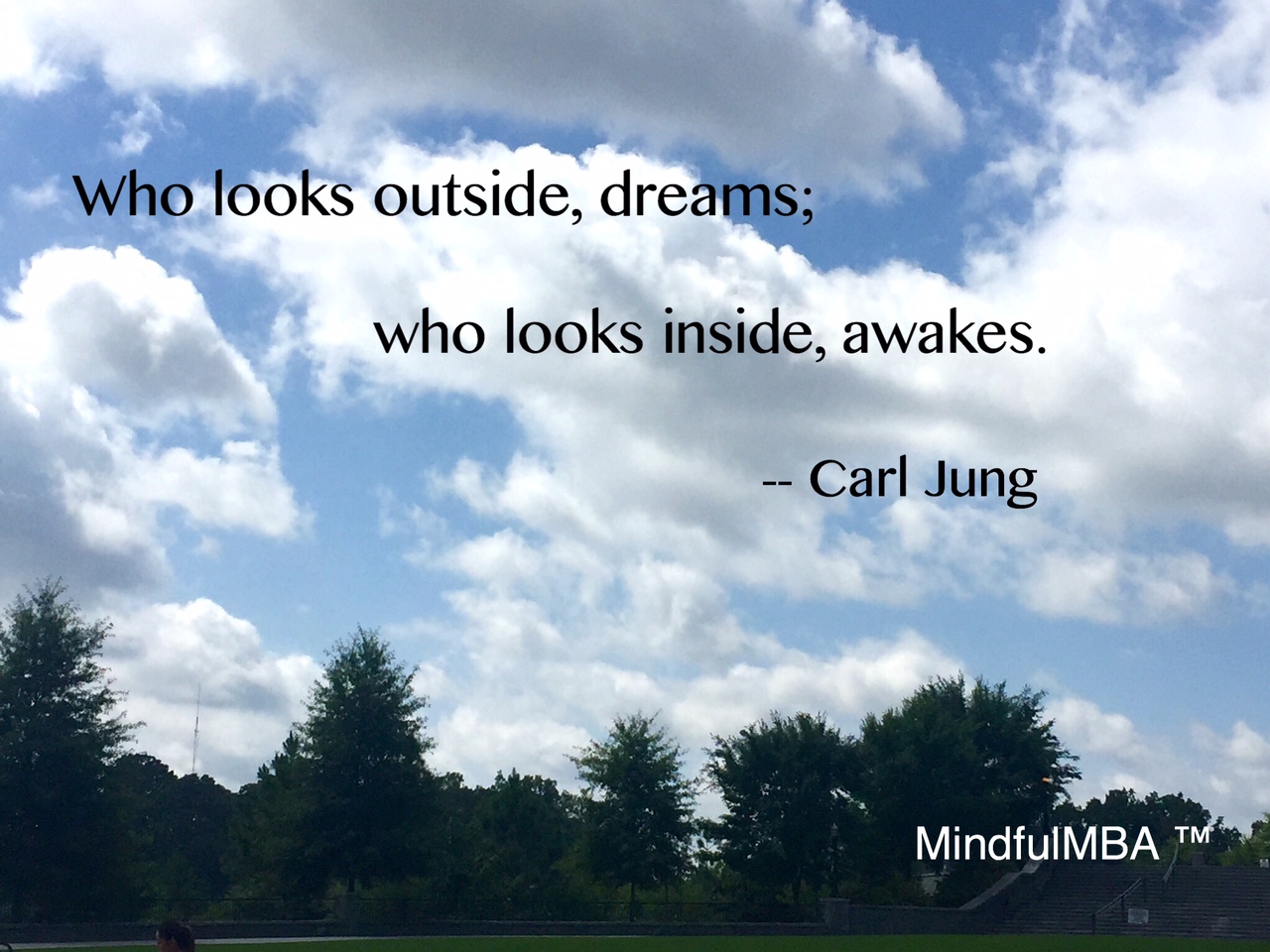 carl-jung-awakes-quote-w-tag