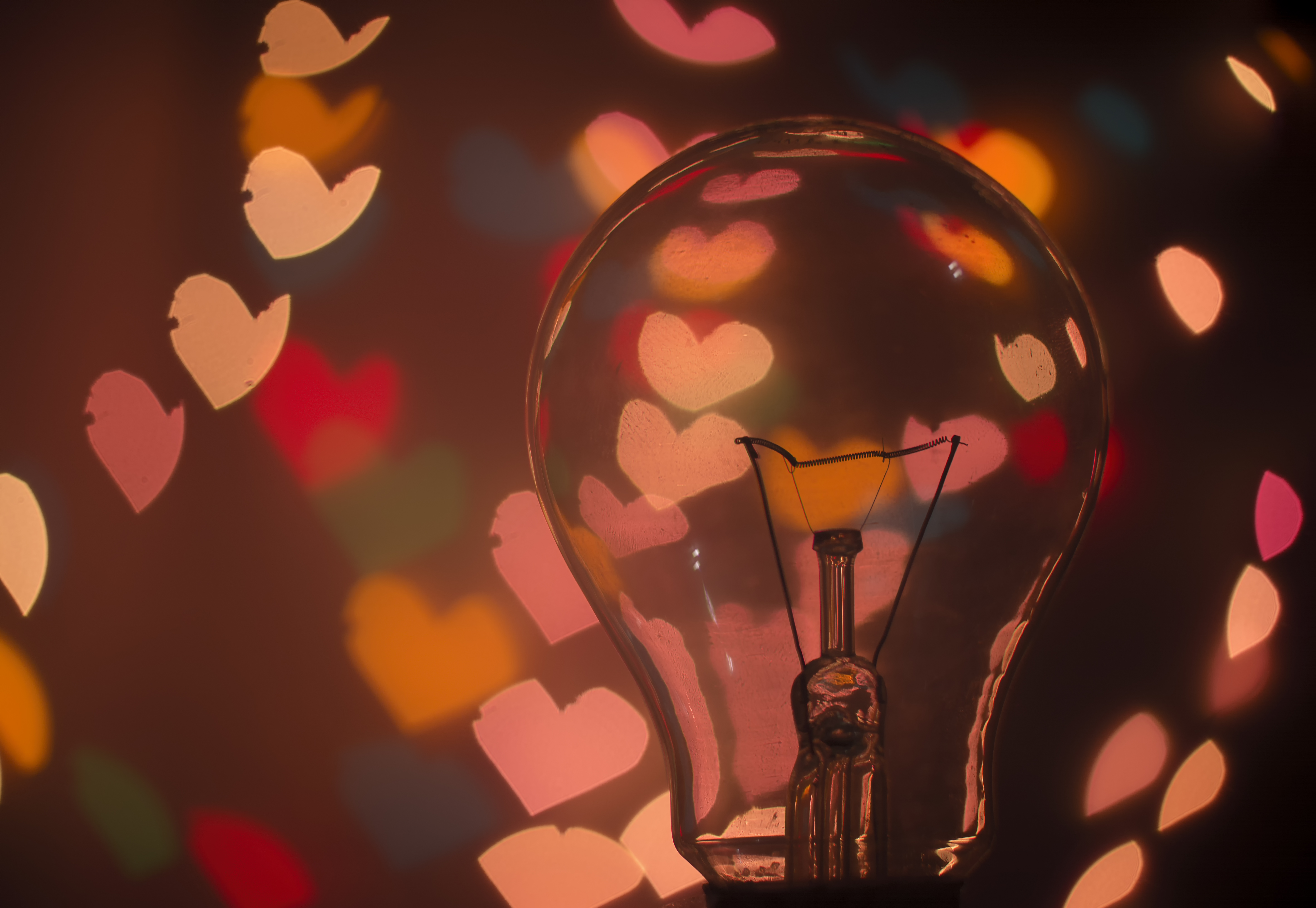 hearts-lightbulb_suvan-chowdhury