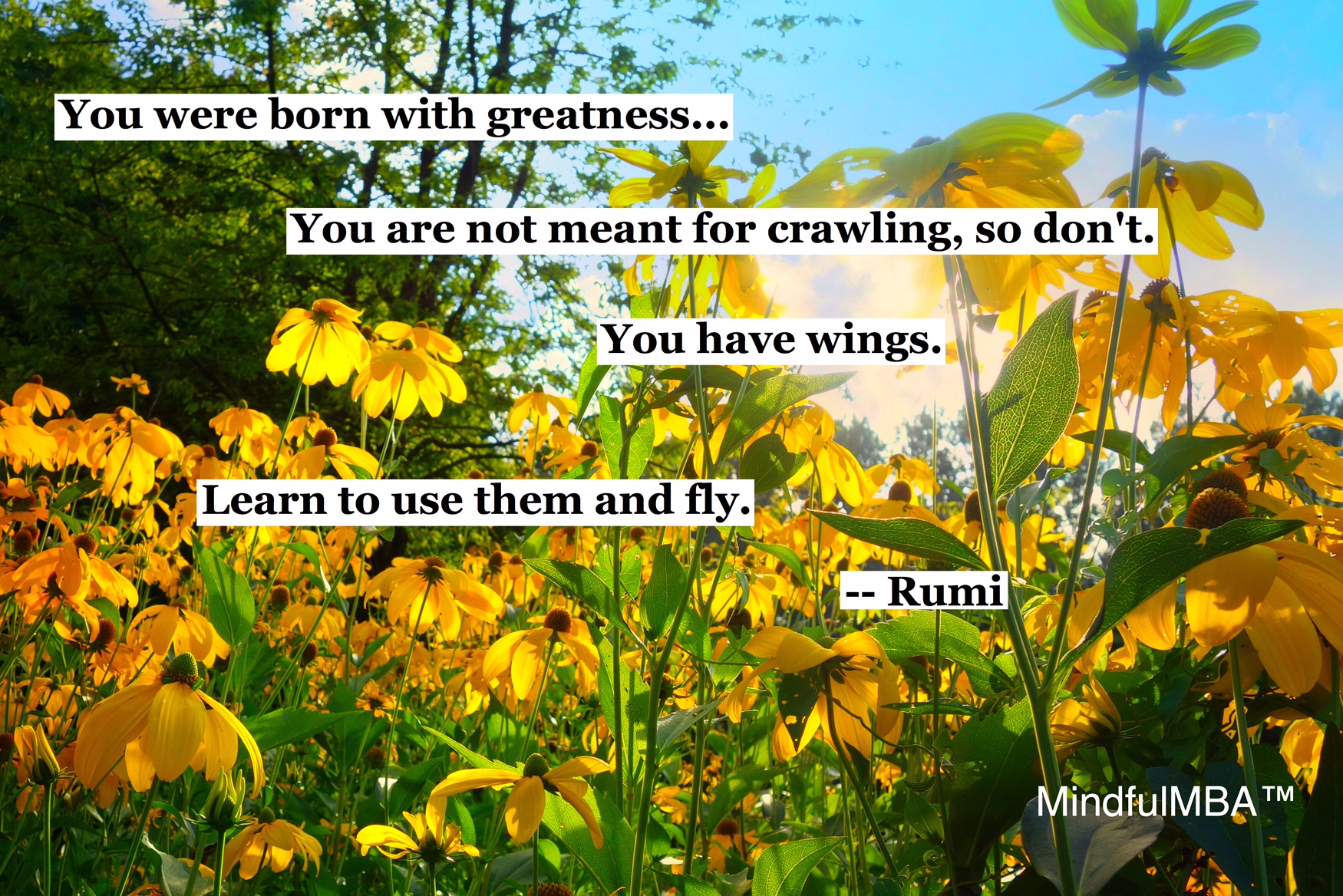 rumi-wings-quote-w-tag