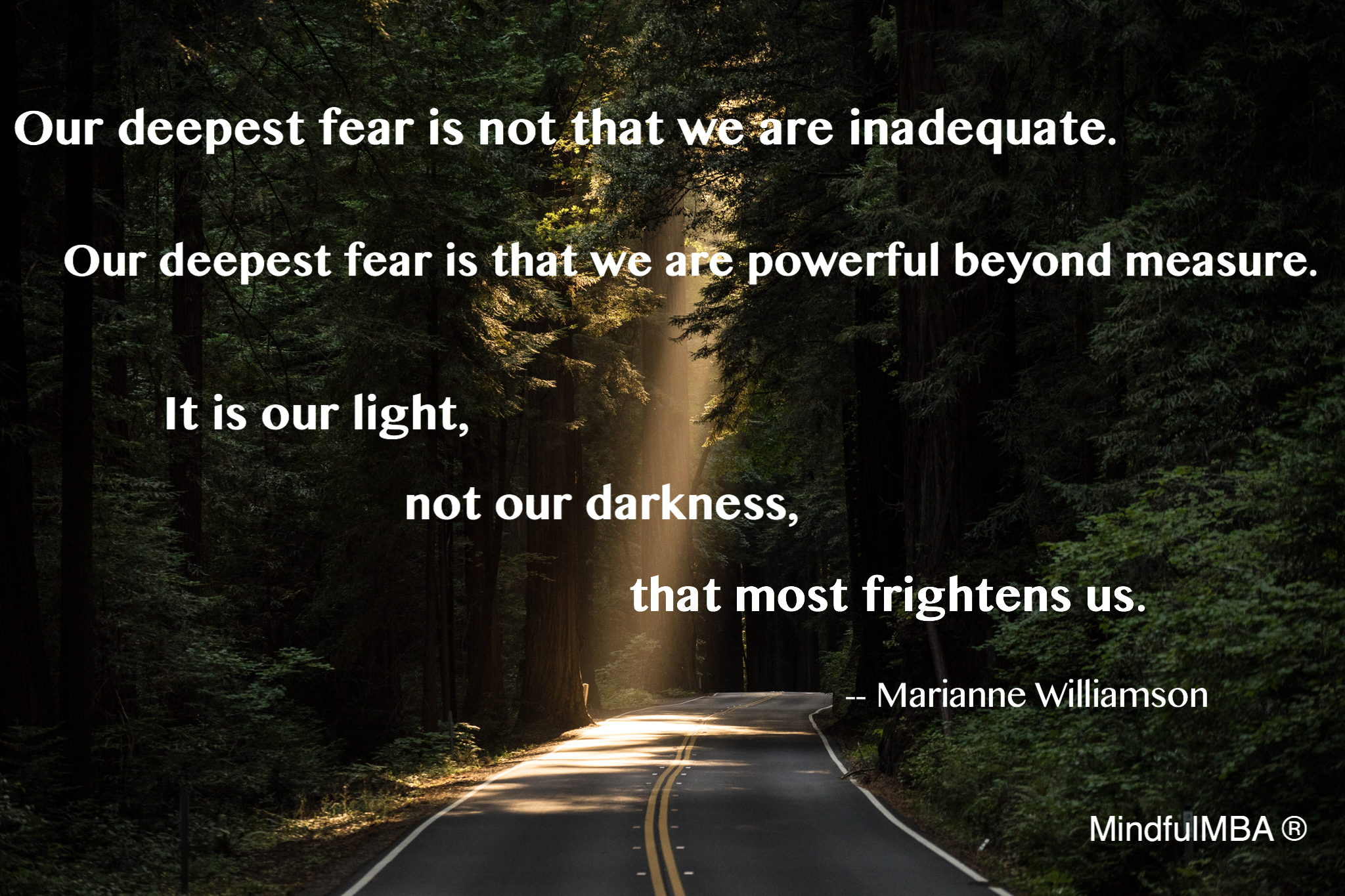 m-williamson-light-not-darkness-quote-w-tag
