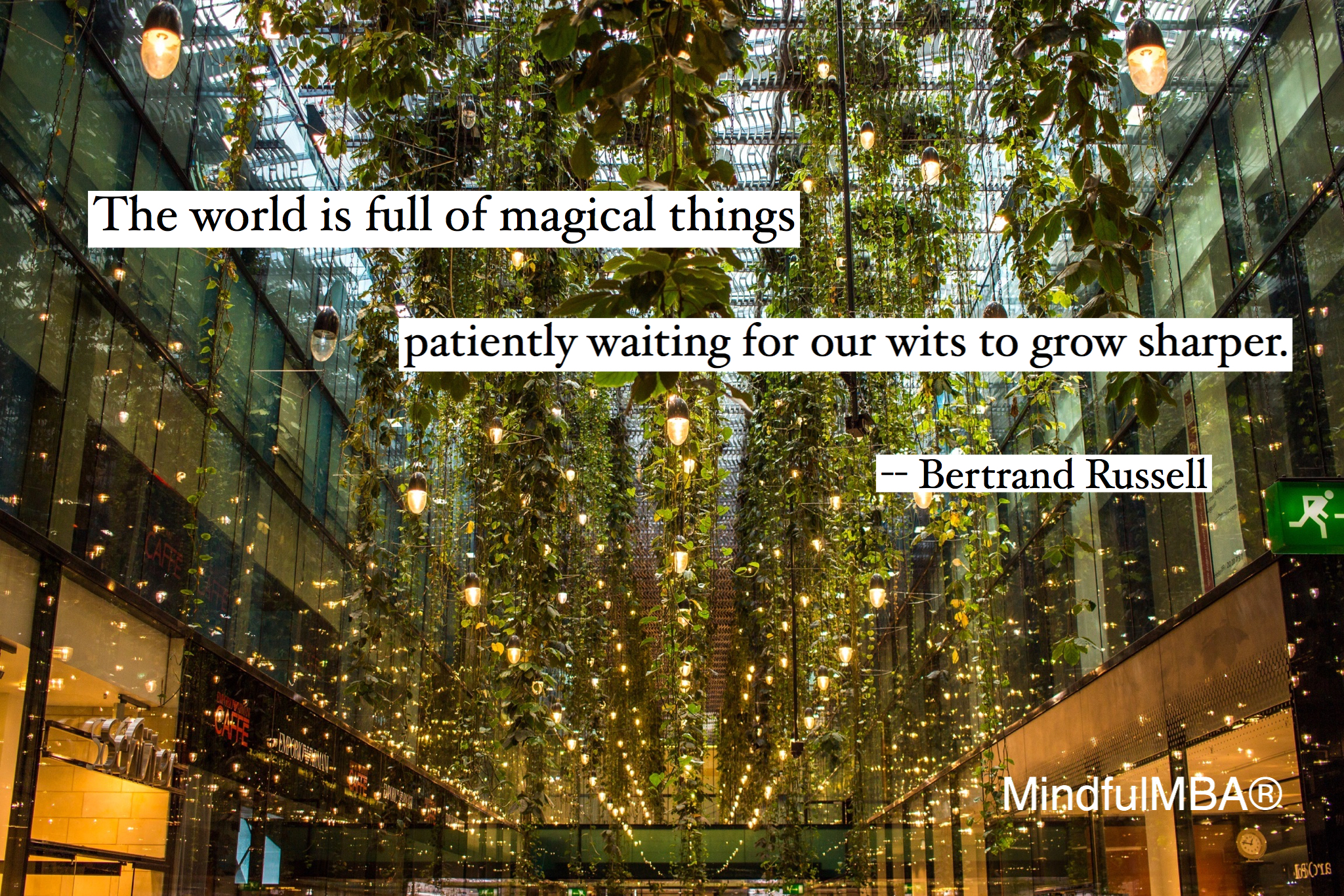 b-russell-magical-things-quote-w-tag