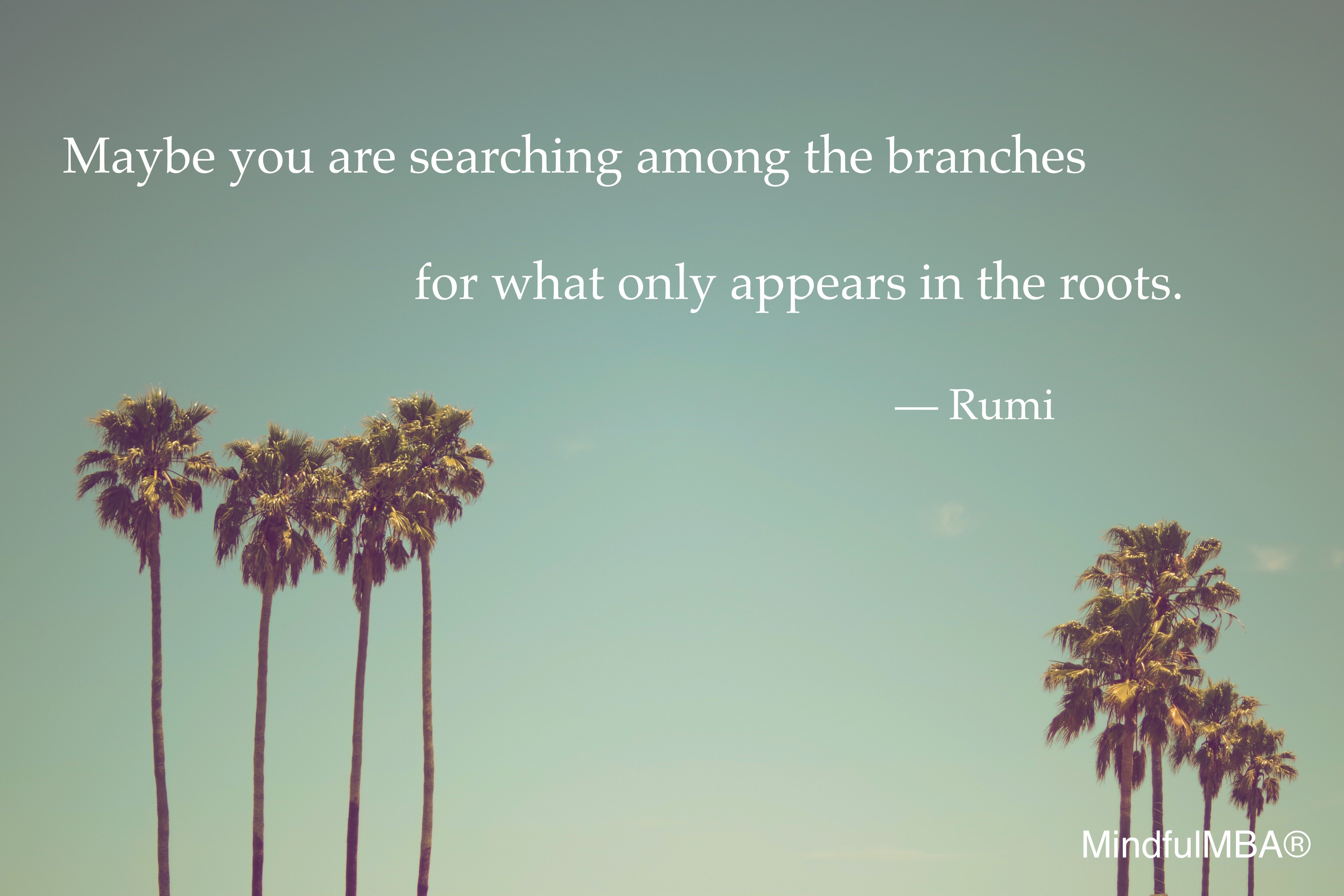 Rumi_Branches &amp; Roots quote w tag