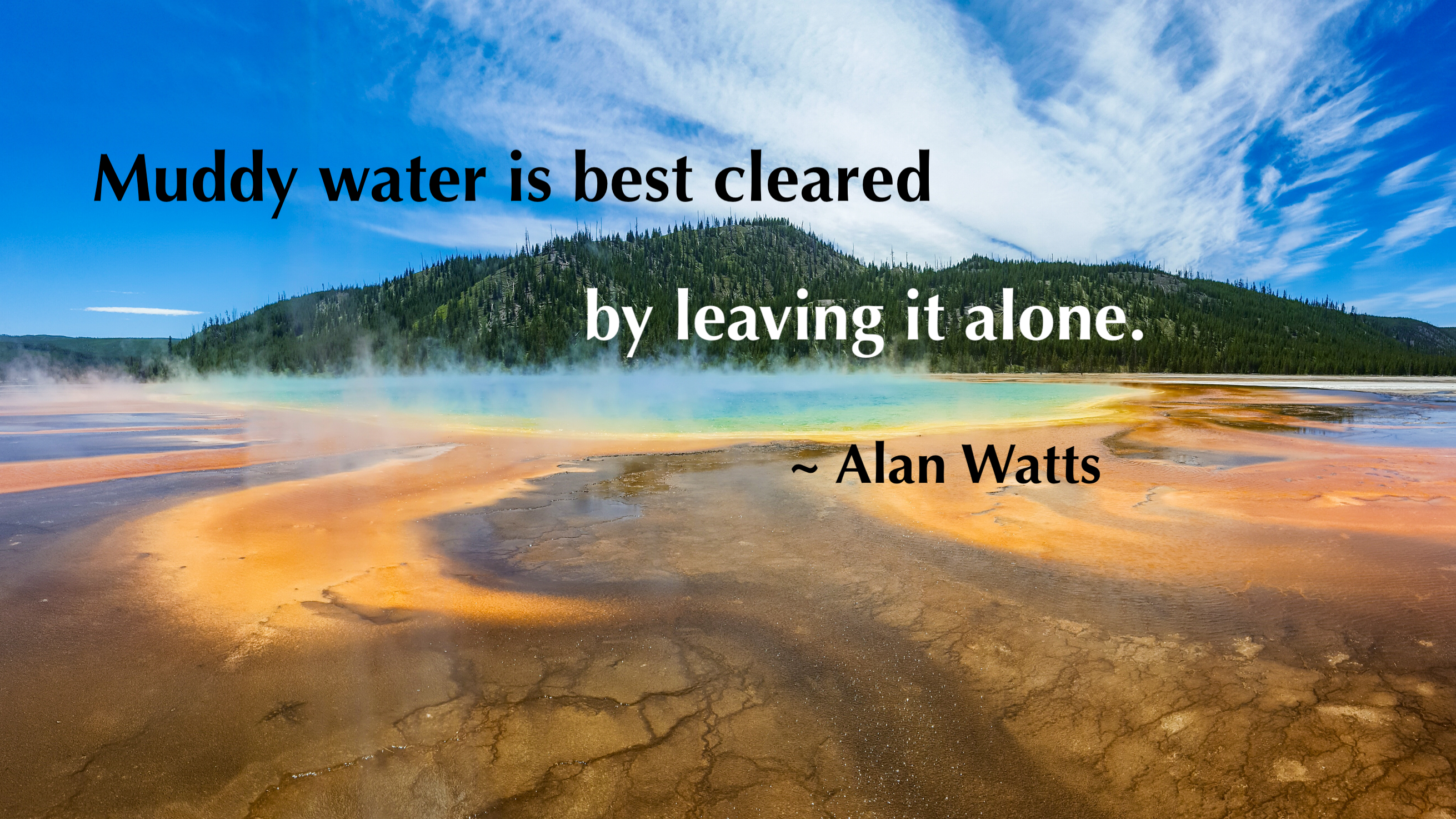 A Watts_Muddy water quote w tag