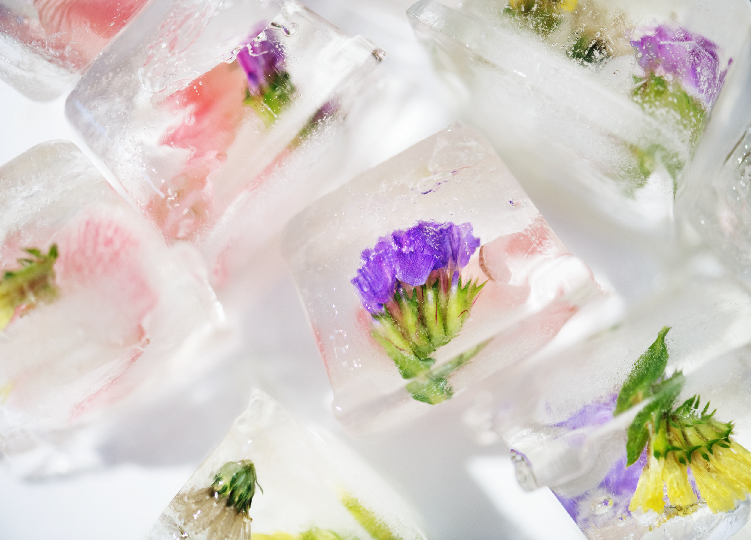 Closeup of flowers ice cube