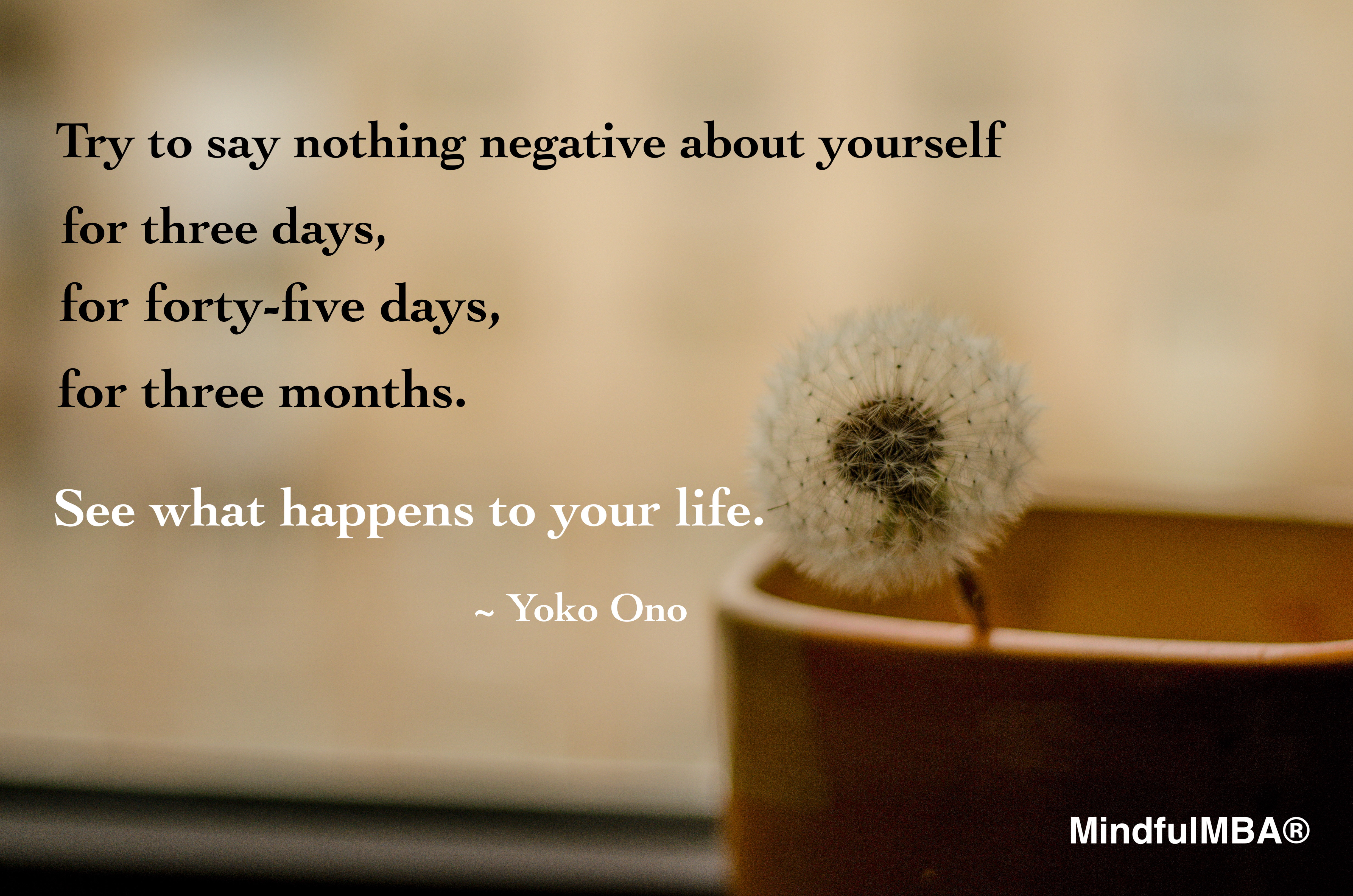 Yoko Ono_Nothing negative quote w tag.jpg