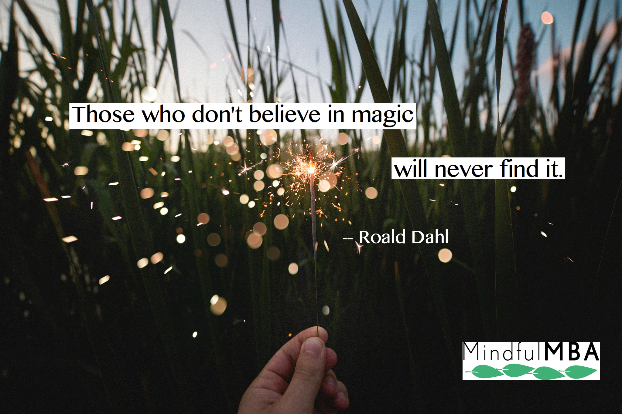 R Dahl magic quote w logo