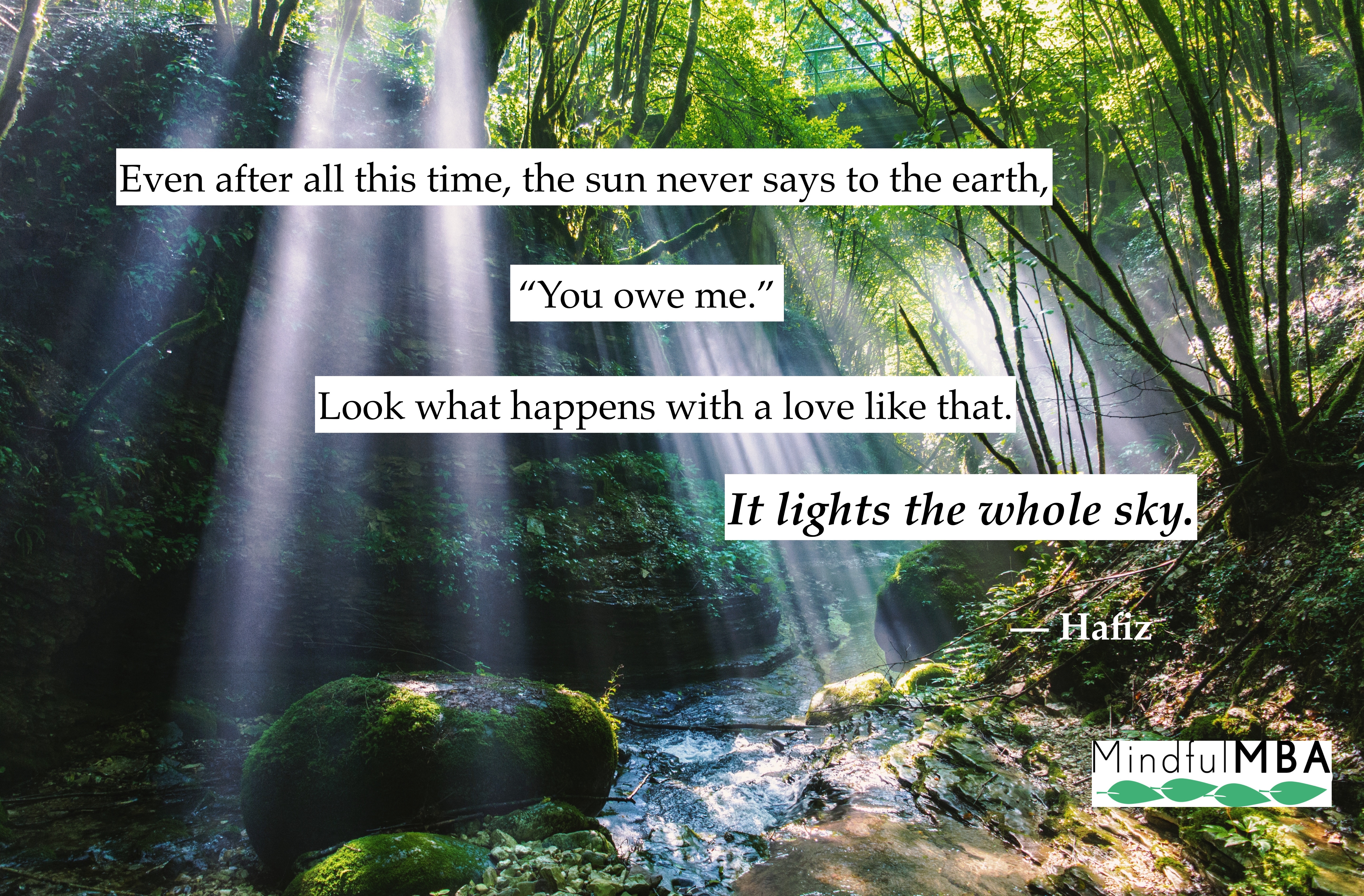 Hafiz_Sun Earth Love quote w logo