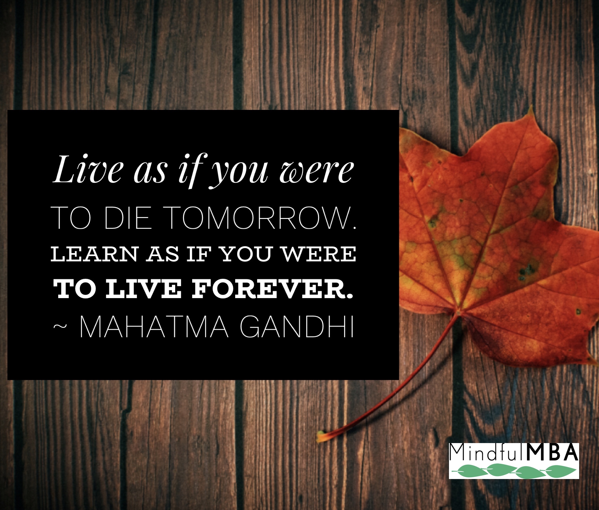 Gandhi Live Learn quote w logo
