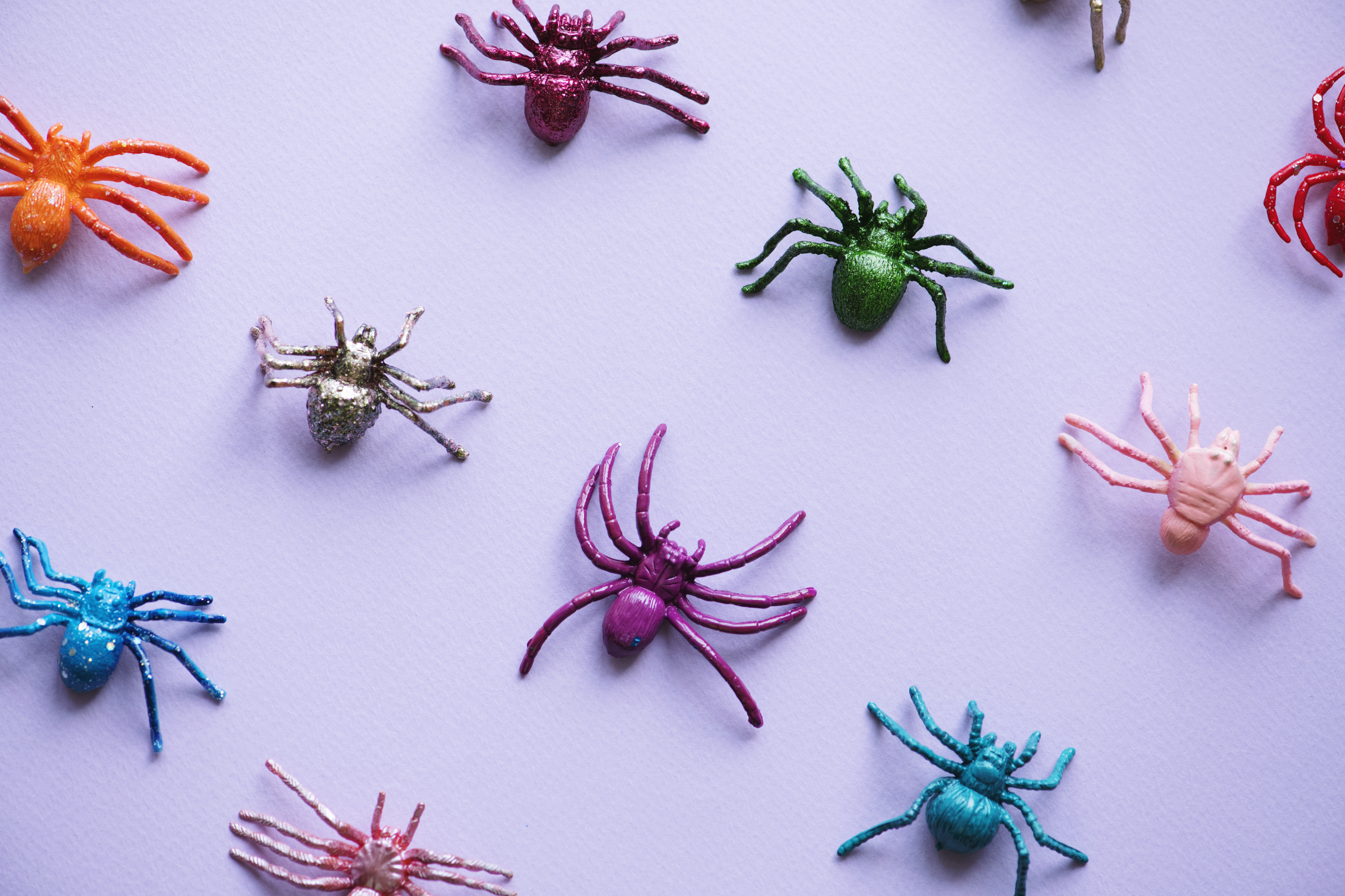 Cute little spiders on a paper