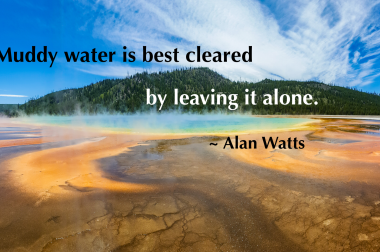 A Watts_Muddy water quote w tag