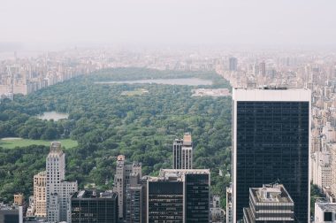 central-park-skyline_freddie-marriage