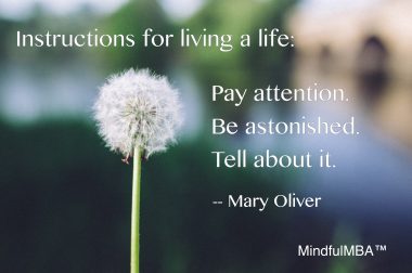 Dandelion_Mary Oliver quote w tag