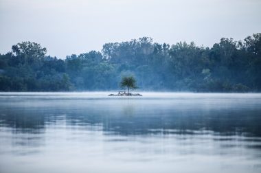 Isolated tree & lake_Teddy Kelley_Stocksnap