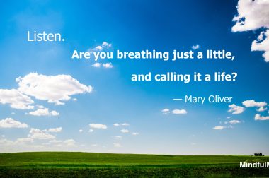 Listen_Breathe Just a Little_M Oliver_Elliott Chau