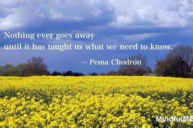 Pema Chodron_Nothing Ever Goes Away quote w tag