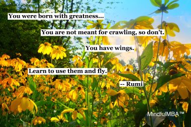 rumi-wings-quote-w-tag