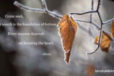 Rumi_Come seek fortune quote w tag