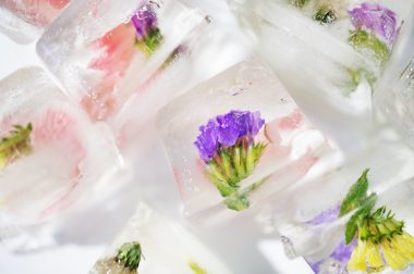 Closeup of flowers ice cube